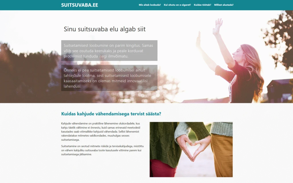 Veebilehe kujunduse detail