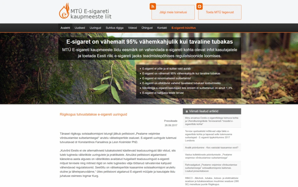 Veebilehe portfoolio ekraanipilt